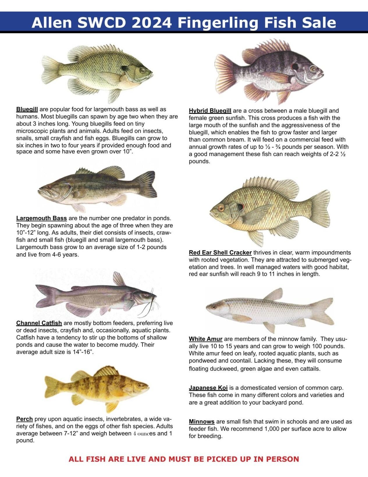 Essential Guide to Discovering Best Discus Tank Mates in 2025