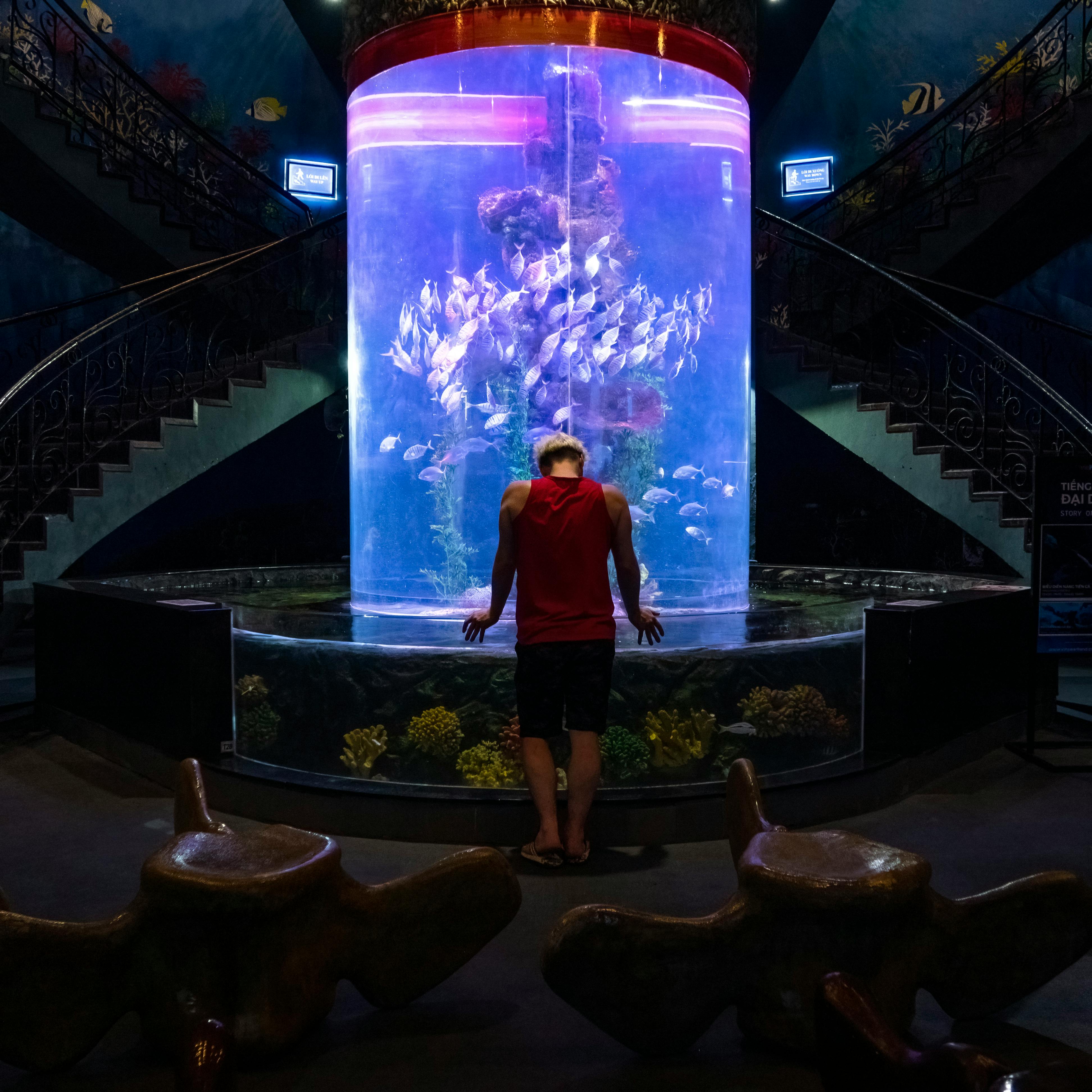 Smart Guide to Setting Up a 10 Gallon Saltwater Tank in 2025