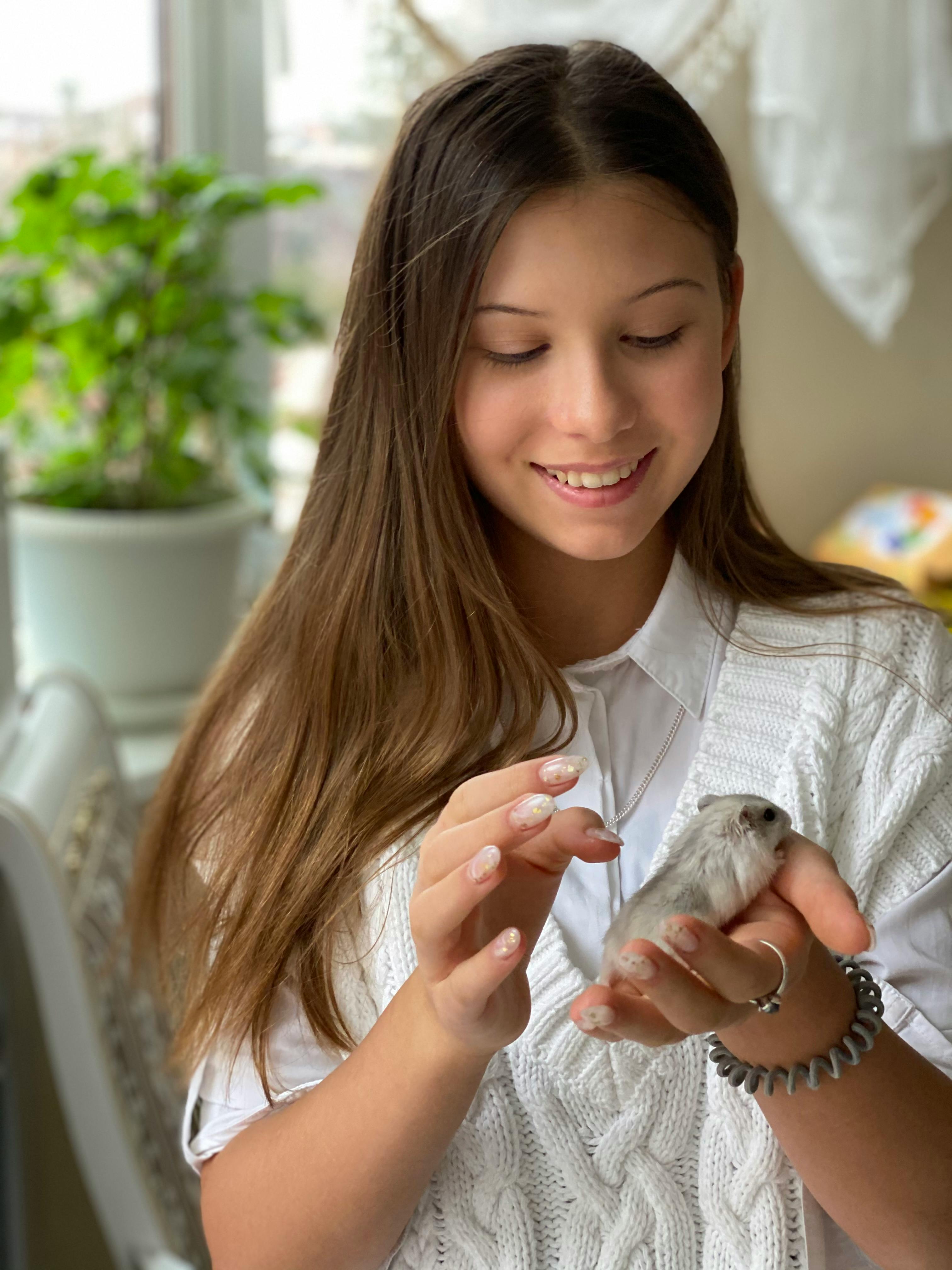 Top 5 Practical Hamster Accessories for Your Happy 2025 Pet