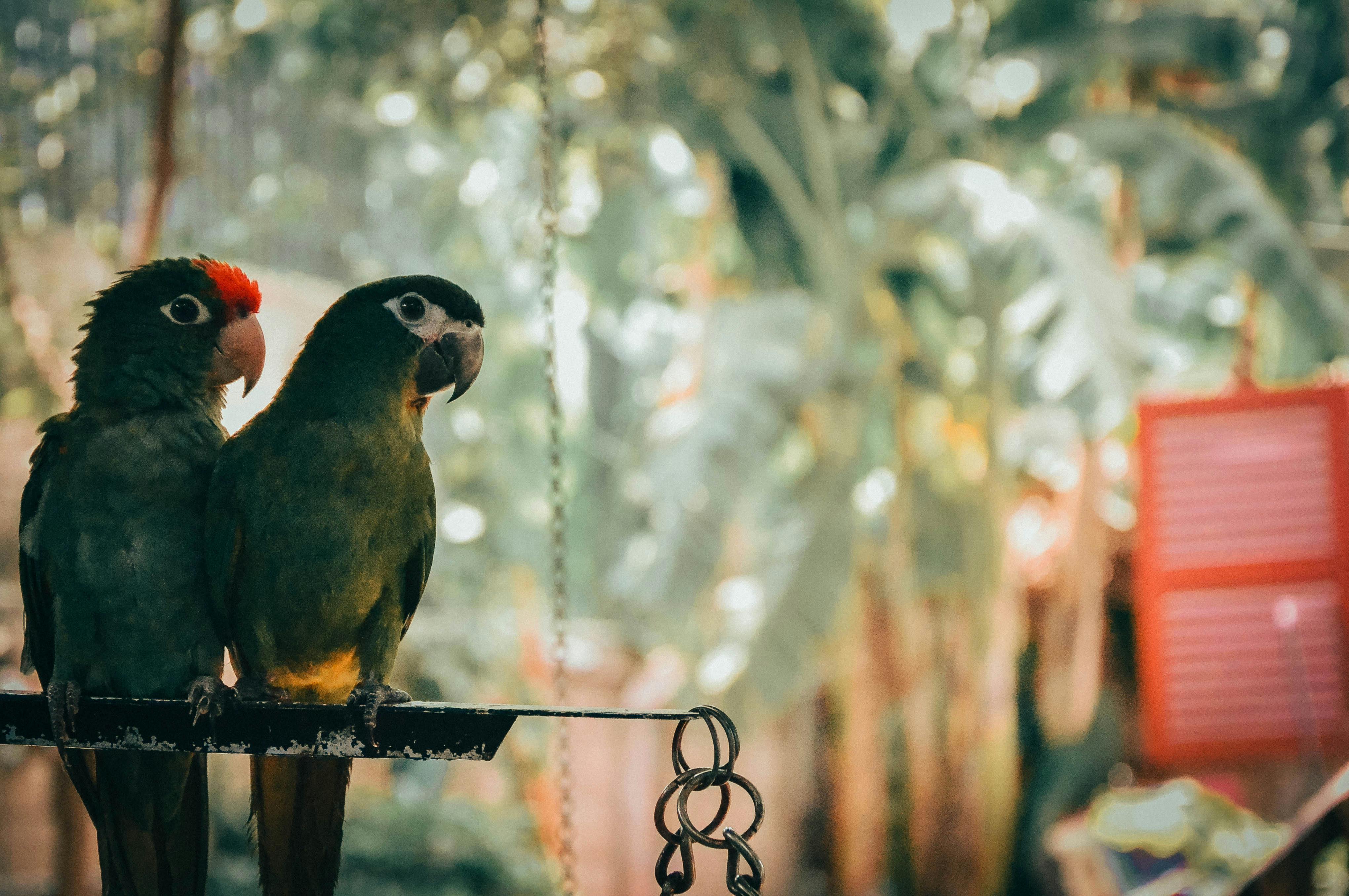 How to Ensure Ethical Aquariums: Smart Guidelines for 2025