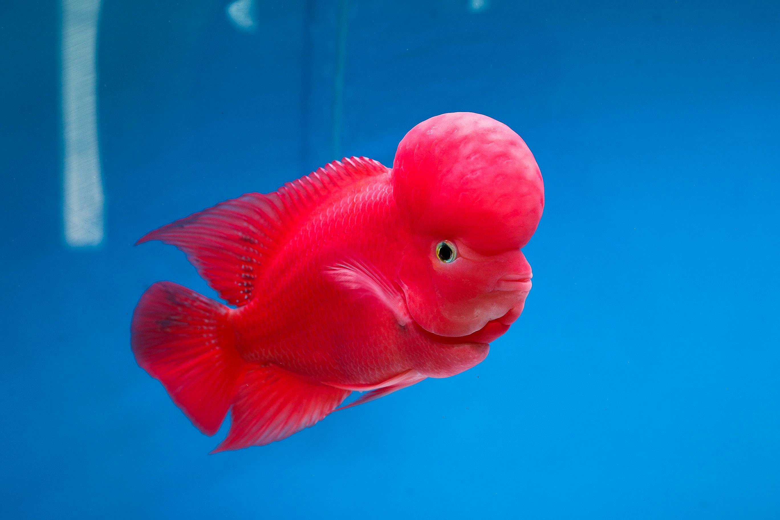 Smart Ways to Explore Adorable Baby Animals in 2025