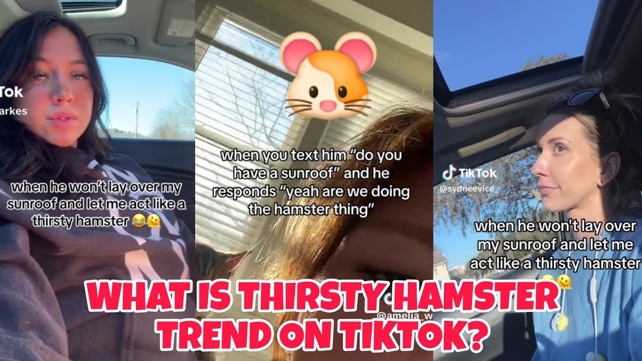 Hamster in car with sunroof open