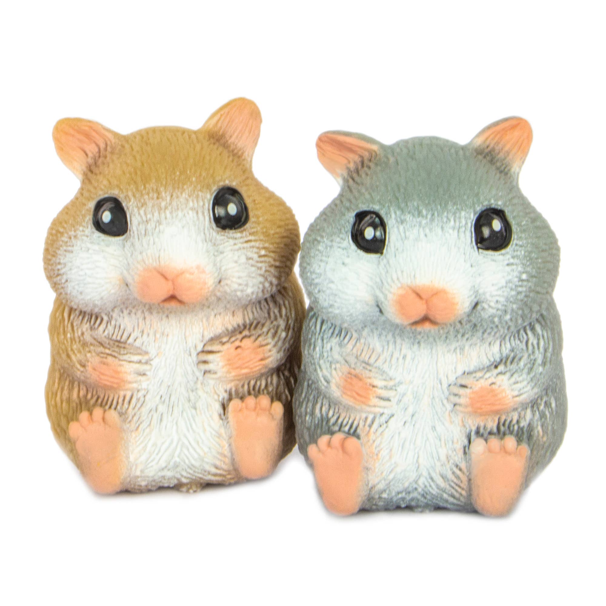 Cute Hamsters for Sale