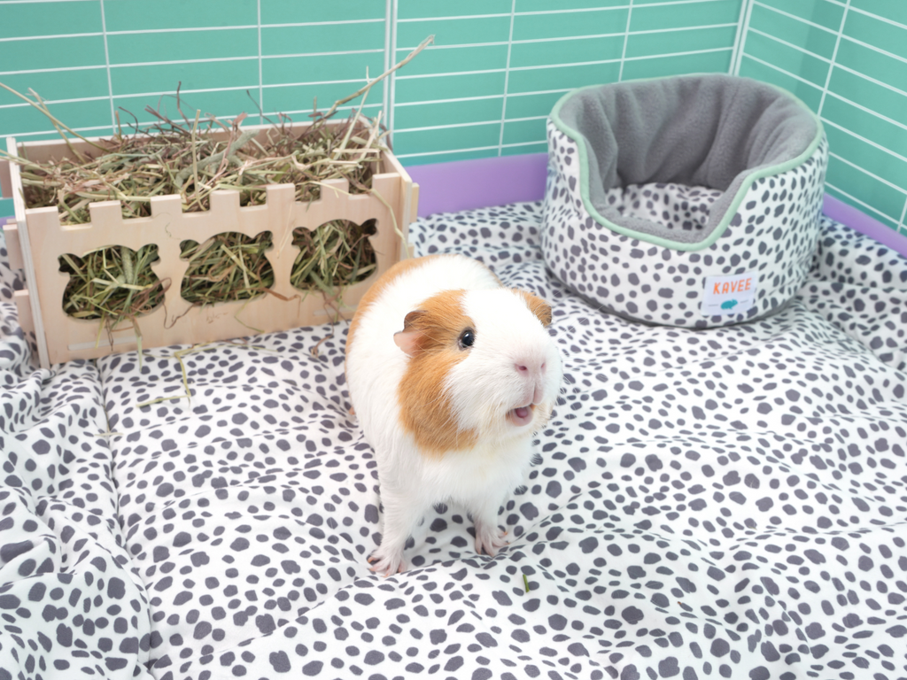 Guinea Pig Bedding Image