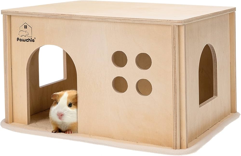 Guinea Pig House