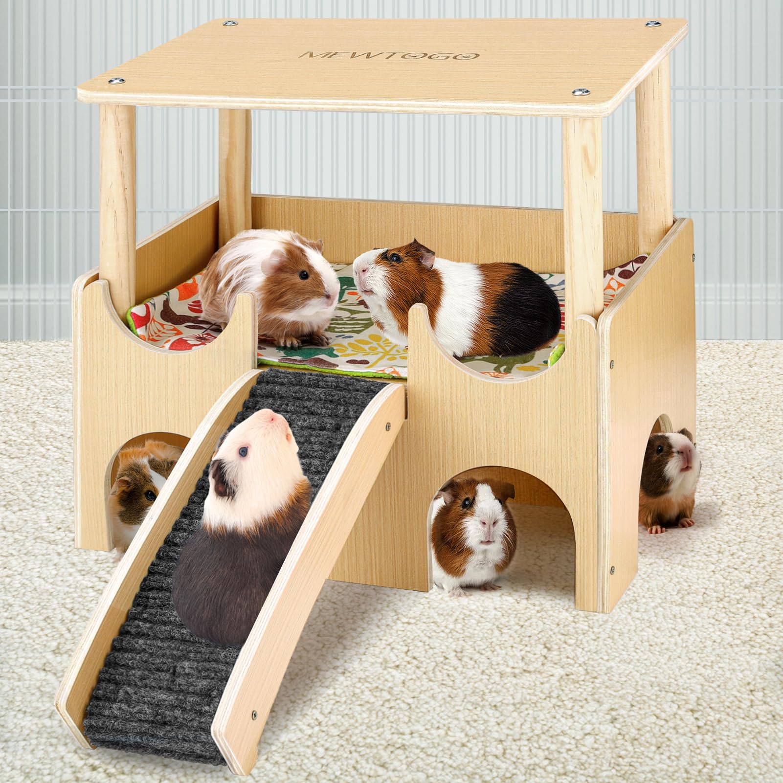 Guinea Pig Habitat