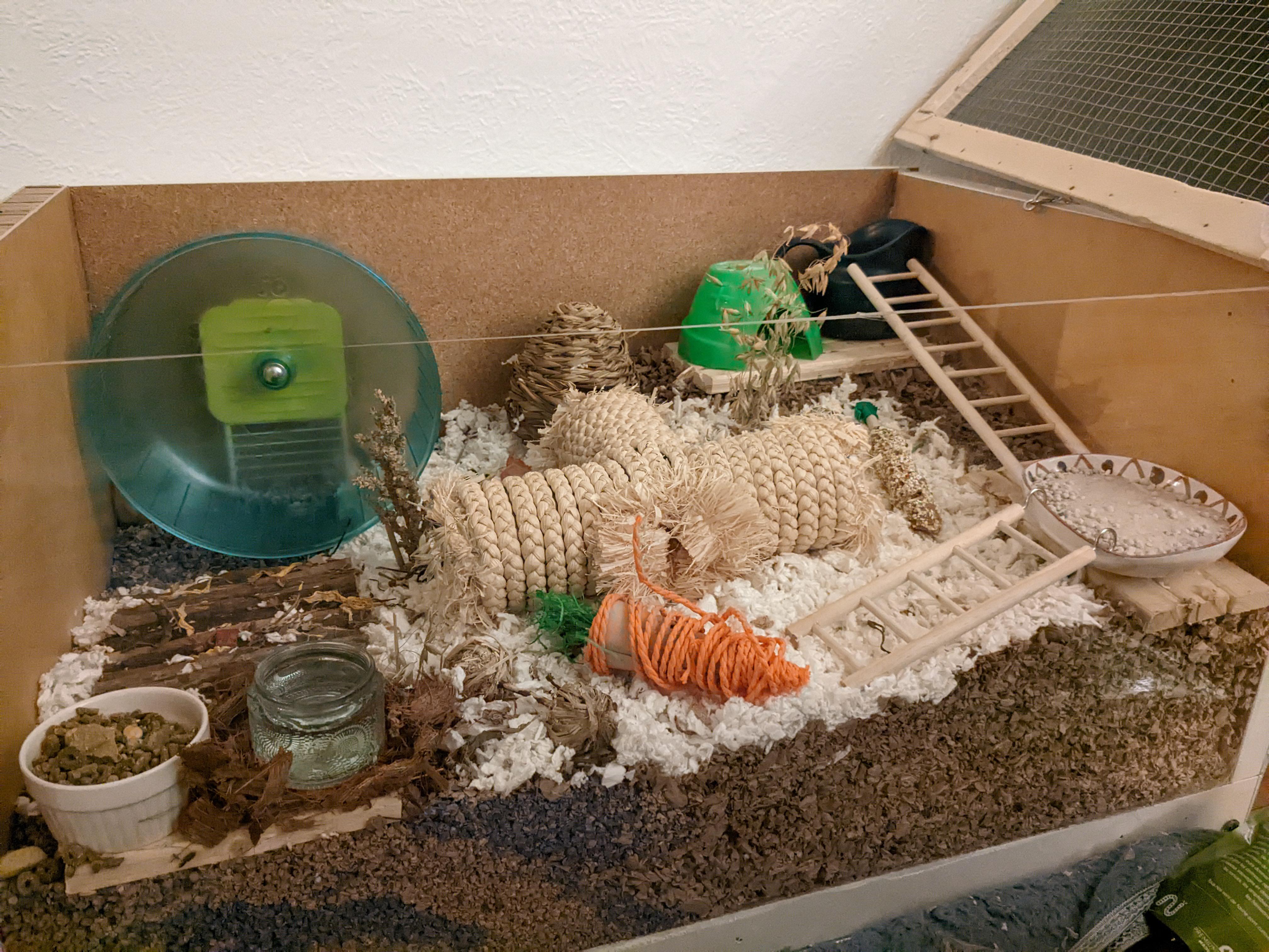 Syrian Hamster Cage